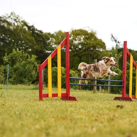 Hof Koehne - Haus Am Spielplatz - Taube Appartement *