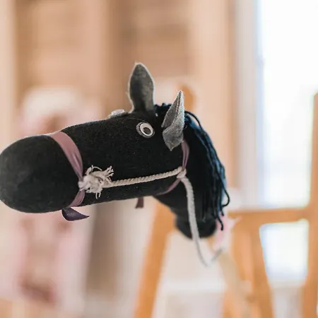 Appartement Hof Koehne - Haus Am Spielplatz - Taube *