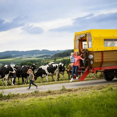 Hof Koehne - Haus Am Spielplatz - Taube Schmallenberg