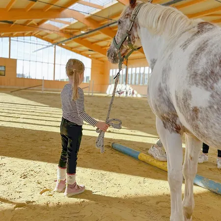 Hof Koehne - Haus Am Spielplatz - Taube