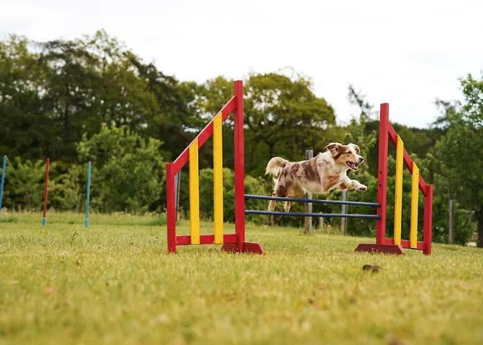 Hof Koehne - Haus Am Spielplatz - Taube Apartamento *