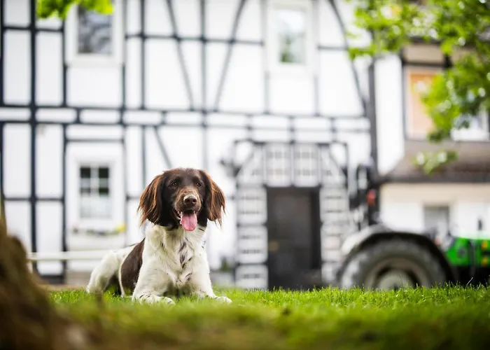 Hof Koehne - Haus Am Spielplatz - Taube Apartamento Schmallenberg