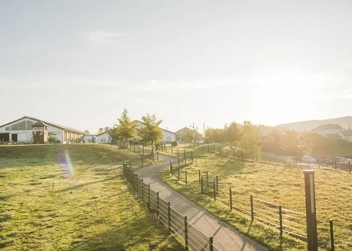 Hof Koehne - Haus Am Spielplatz - Taube Apartamento Schmallenberg