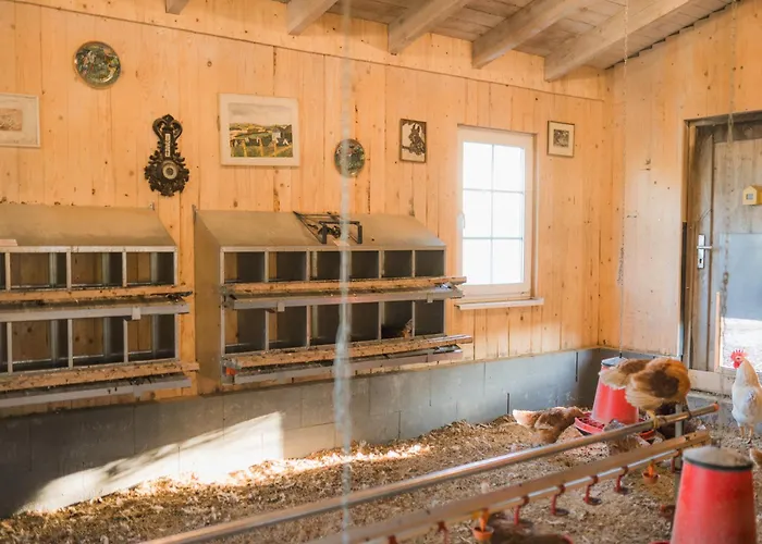 Apartamento Hof Koehne - Haus Am Spielplatz - Taube *