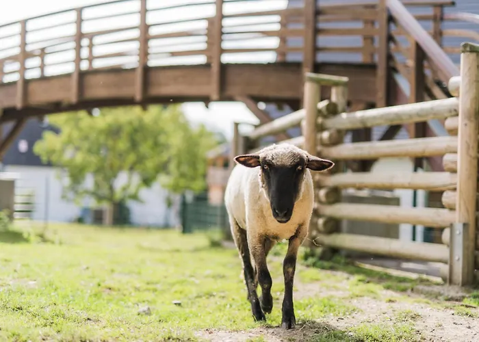 Hof Koehne - Haus Am Spielplatz - Taube * Schmallenberg