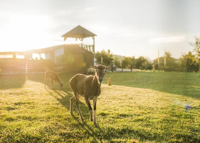 Apartamento Hof Koehne - Haus Am Spielplatz - Taube *